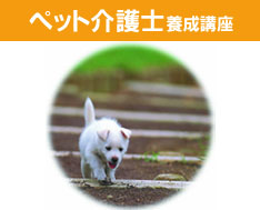 ybgm i ԂʐMu͂炩